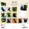 Black Cats | 2026 12 x 24 Inch (Hanging) Monthly Square Wall Calendar | Foil Stamped Cover | Plastic-Free | BrownTrout | Animals Kittens Feline